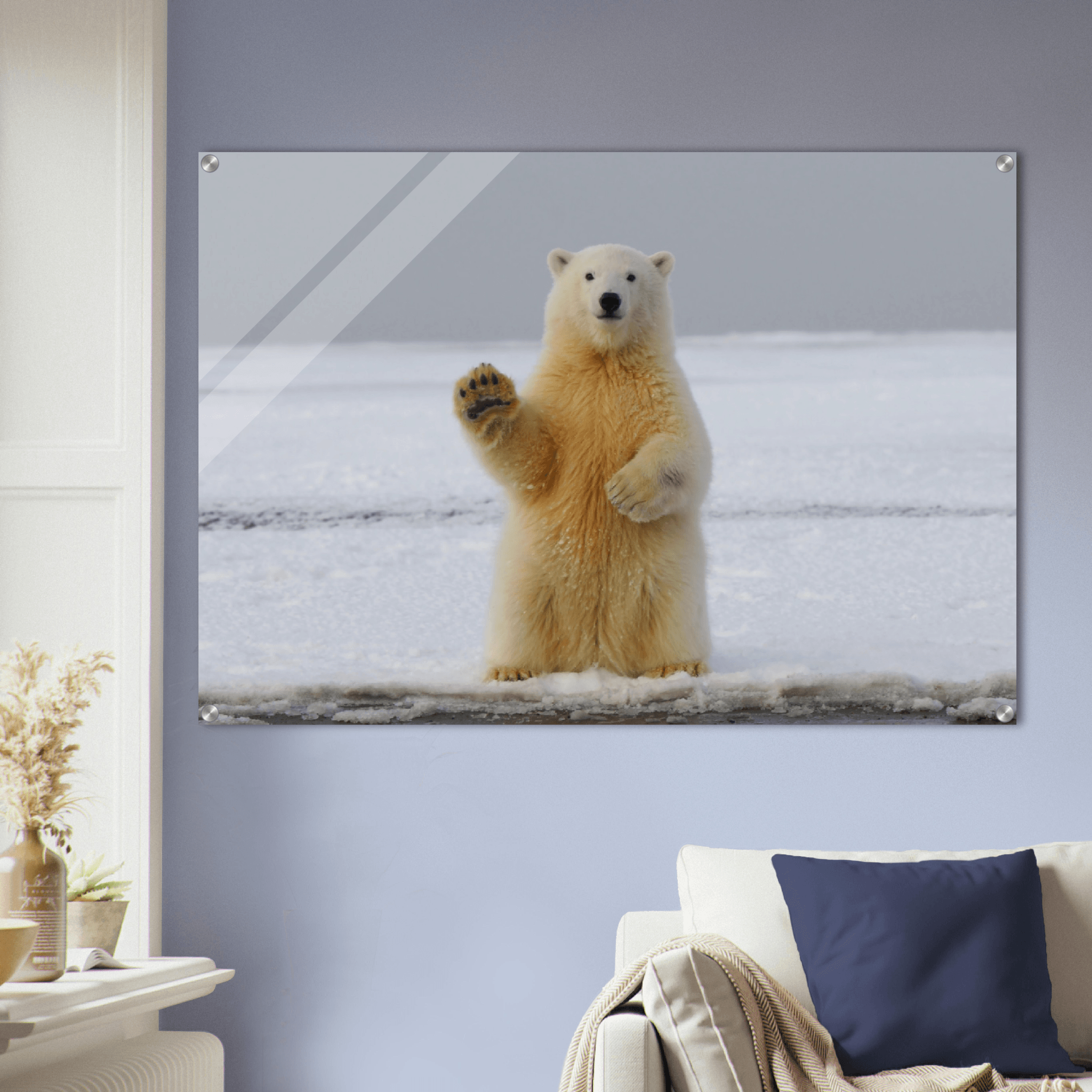 Arctic Greeting: Polar Bear Acrylic Glass Wall Art - Wallfix