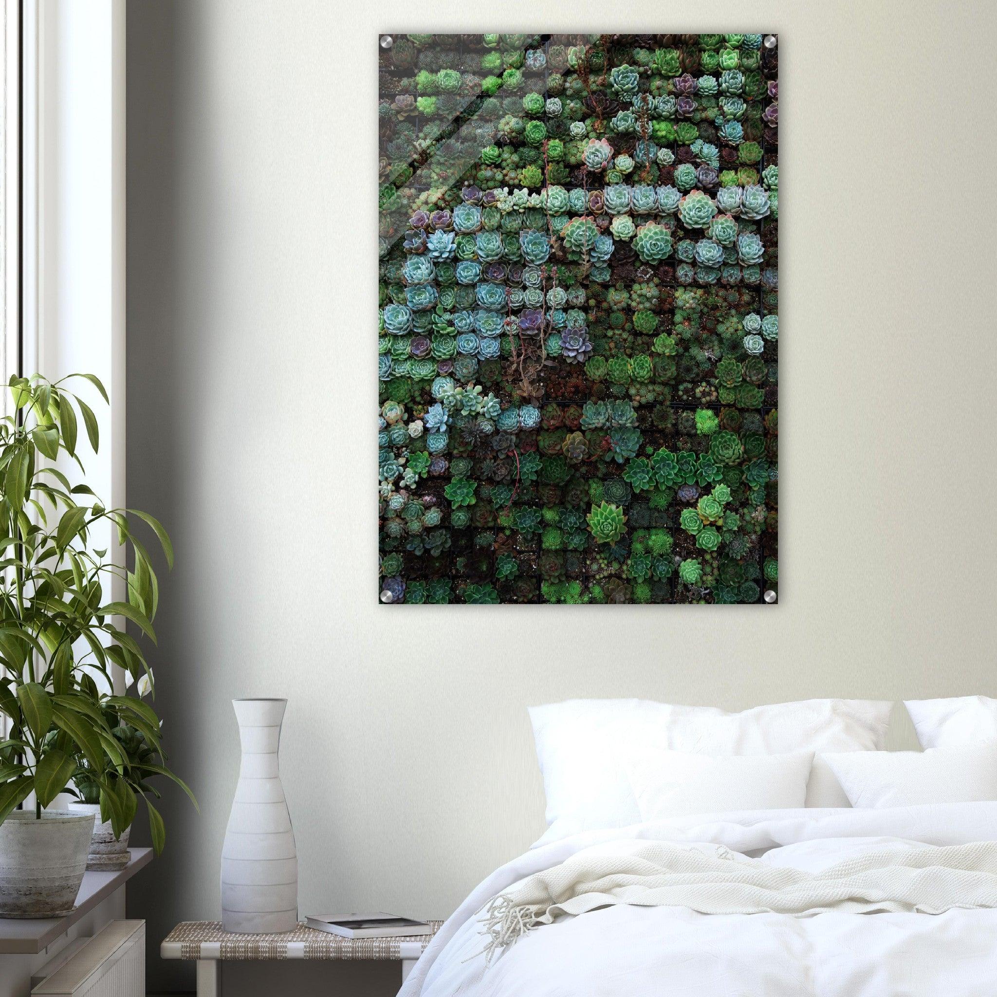 Bouquet of Botanicals: Succulent Frenzy Acrylic Glass Wall Art - Wallfix