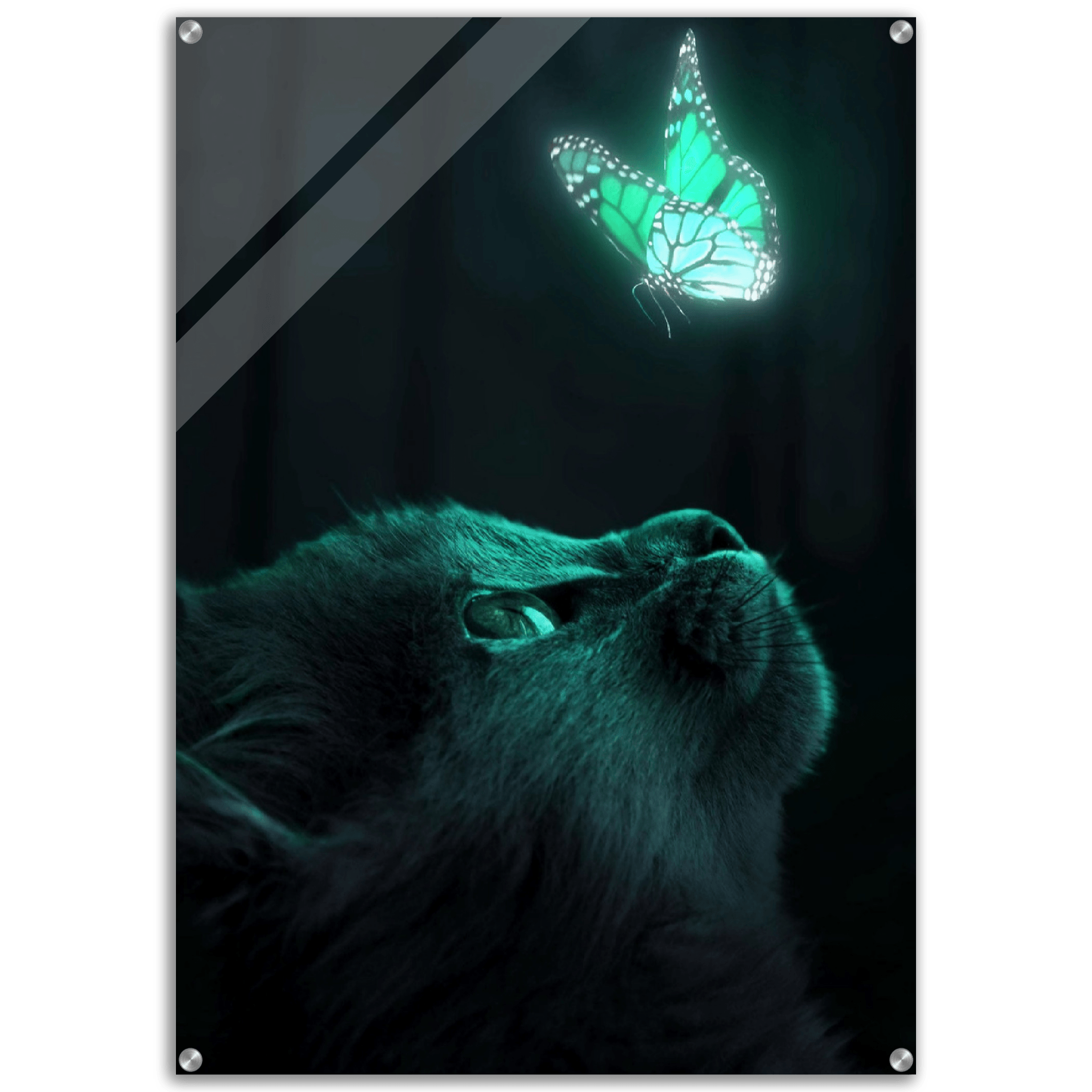 Captivating Harmony: Cat And Butterfly Acrylic Glass Wall Art - Wallfix