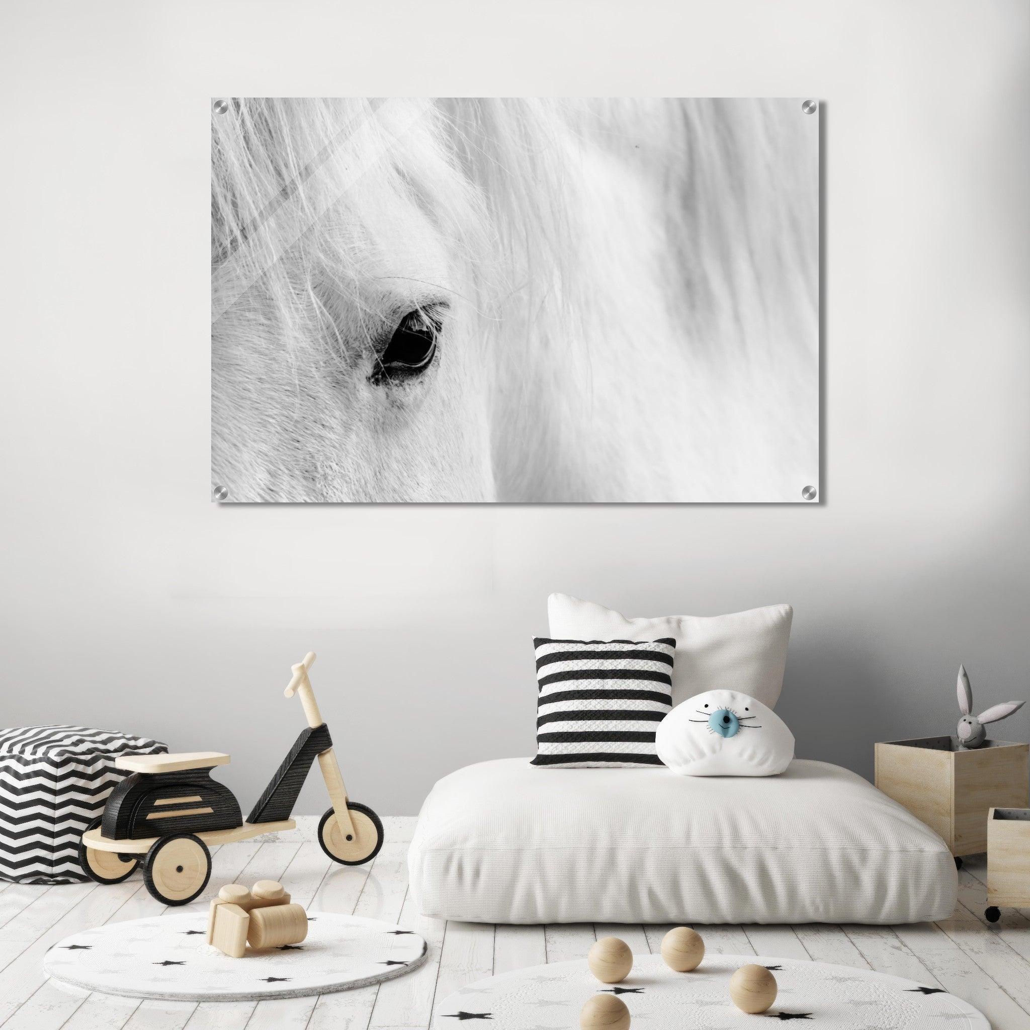Enigmatic Equine: Black and White Horse Acrylic Glass Wall Art - Wallfix