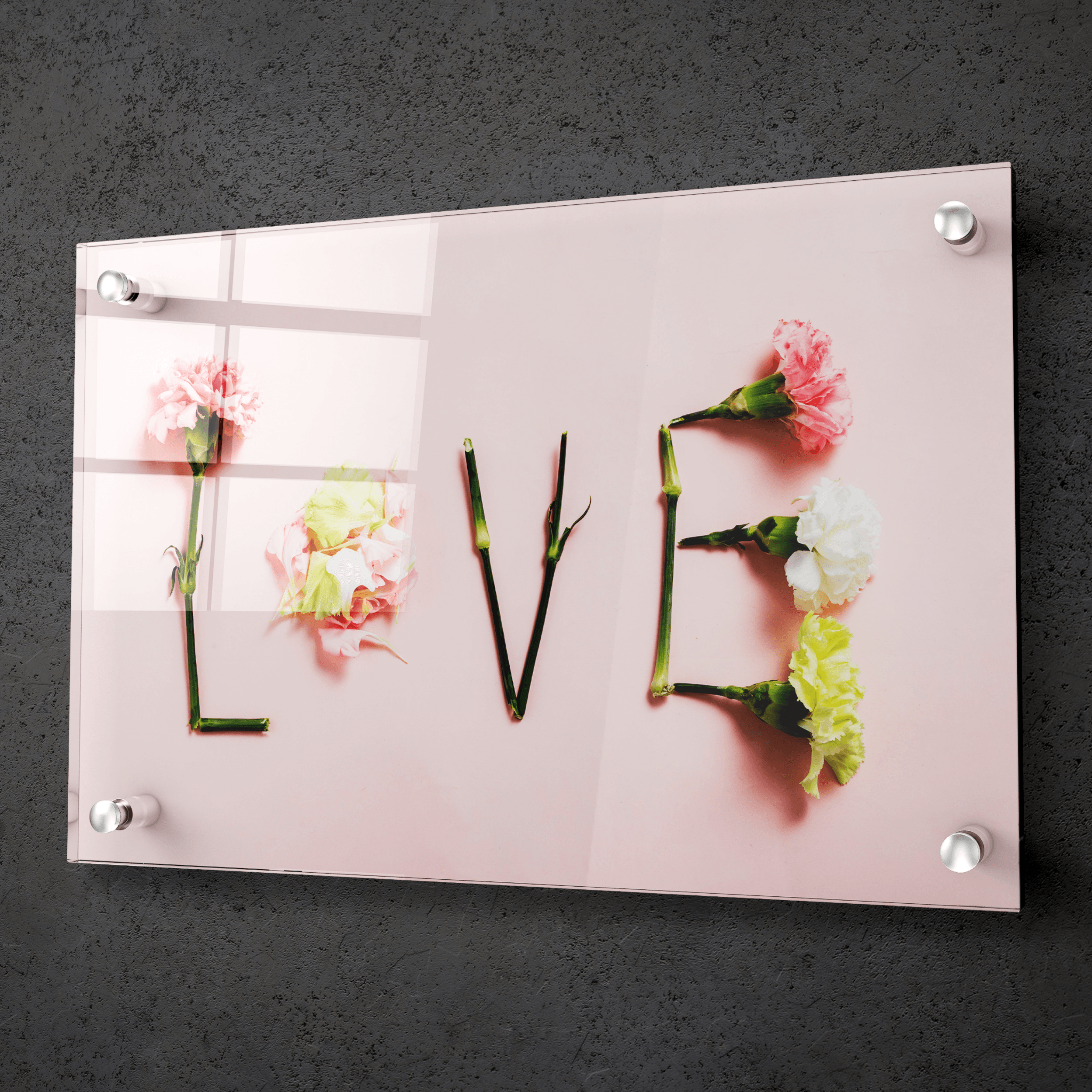 Expression of Love: God's Flower Carnation Acrylic Glass Wall Art - Wallfix