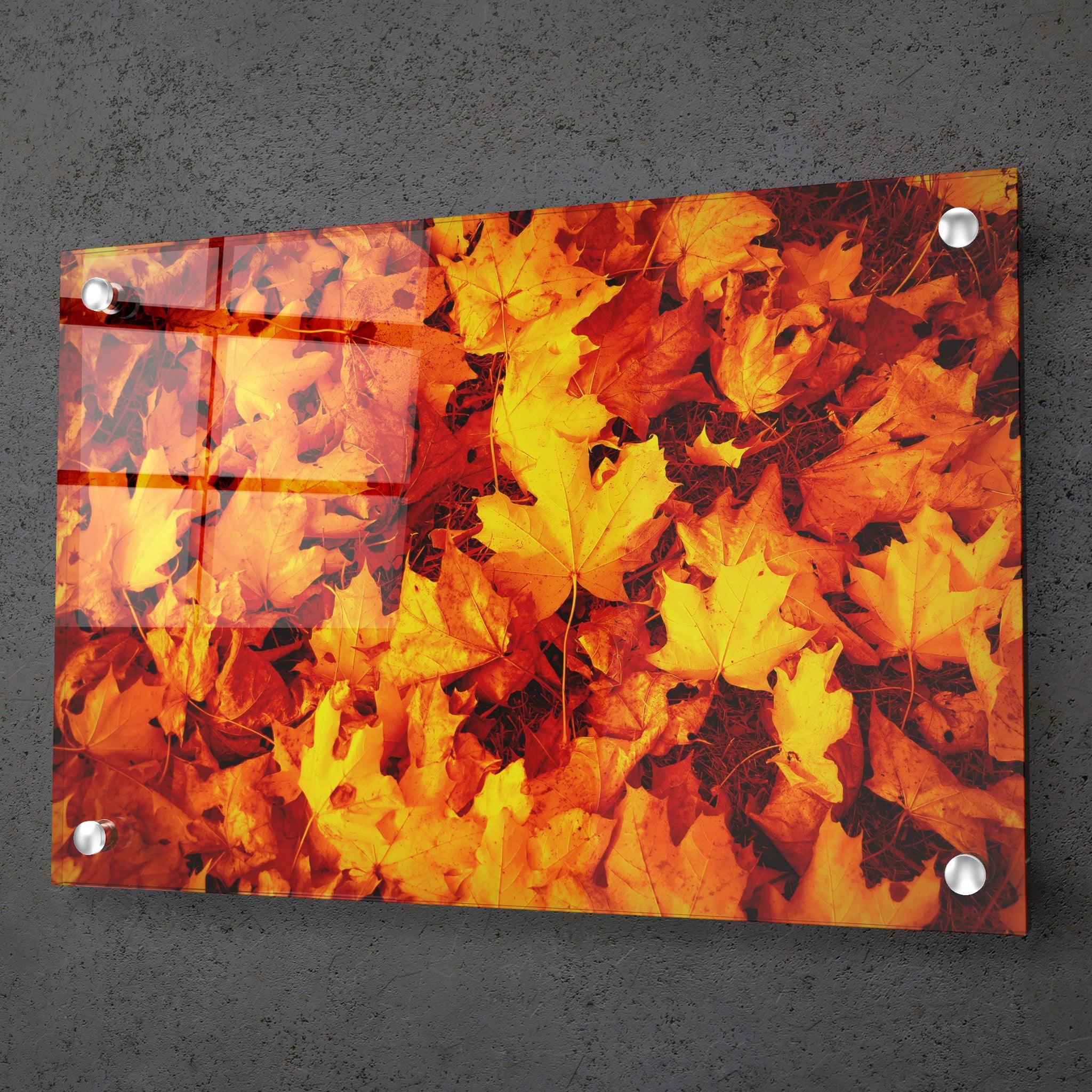 Fall Elegance: Maple Leaves Acrylic Glass Wall Art - Wallfix
