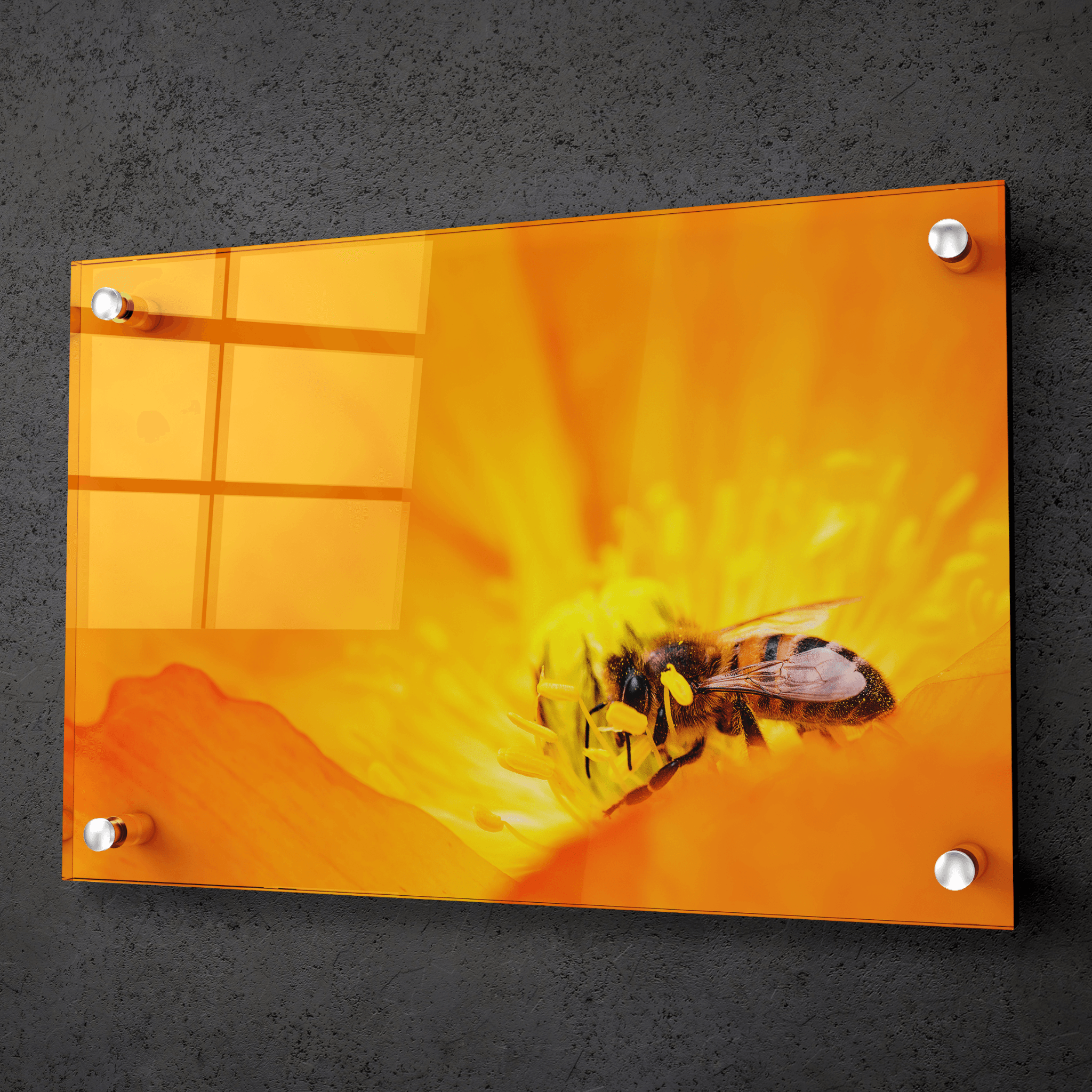 Golden Nectar: Buzzing Bee Acrylic Glass Wall Art - Wallfix