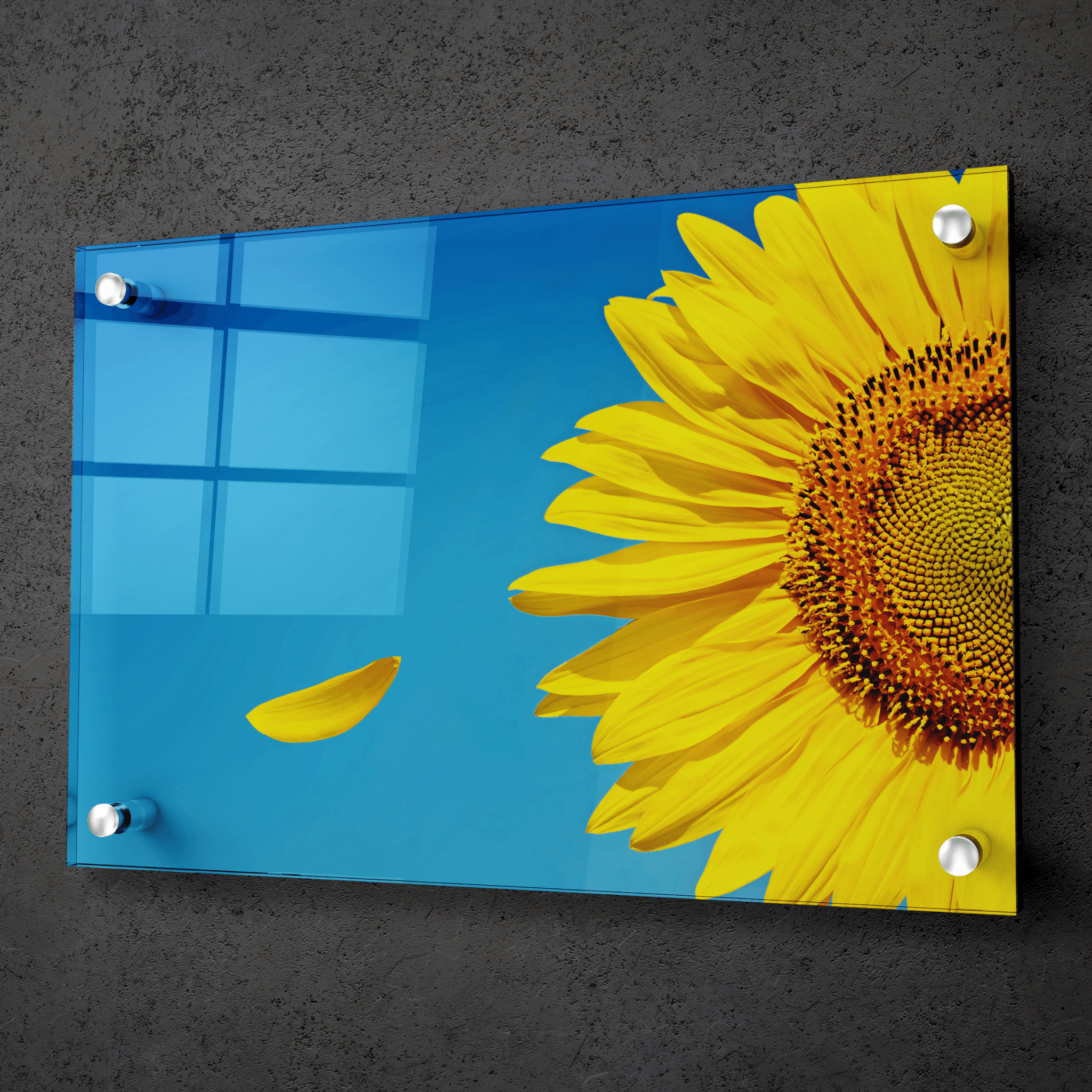 Golden Pedals: Close-Up Sunflower Acrylic Glass Wall Art - Wallfix