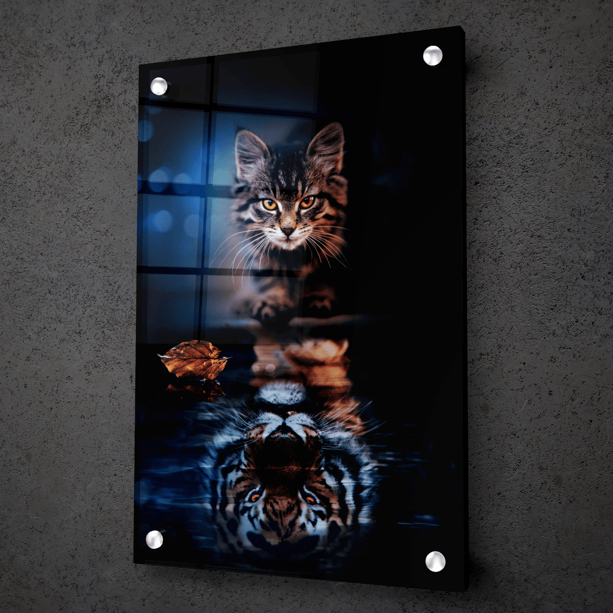 Inner Beast: Cat Reflection Acrylic Glass Wall Art - Wallfix