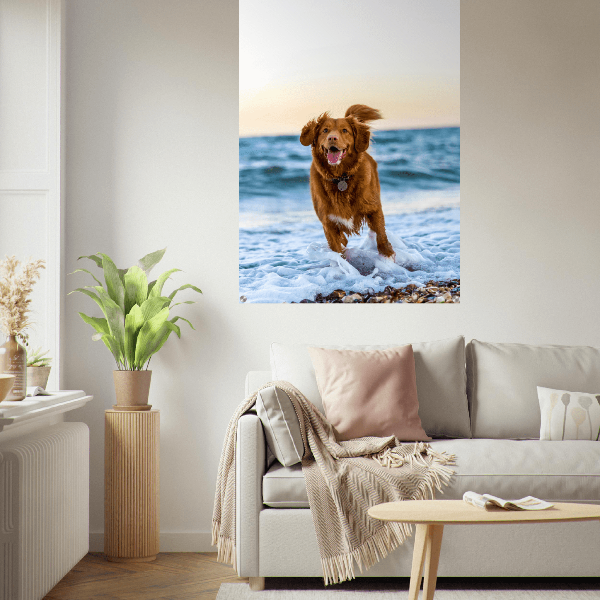 Joyful Dog: Golden Retriever at Beach Acrylic Glass Wall Art - Wallfix