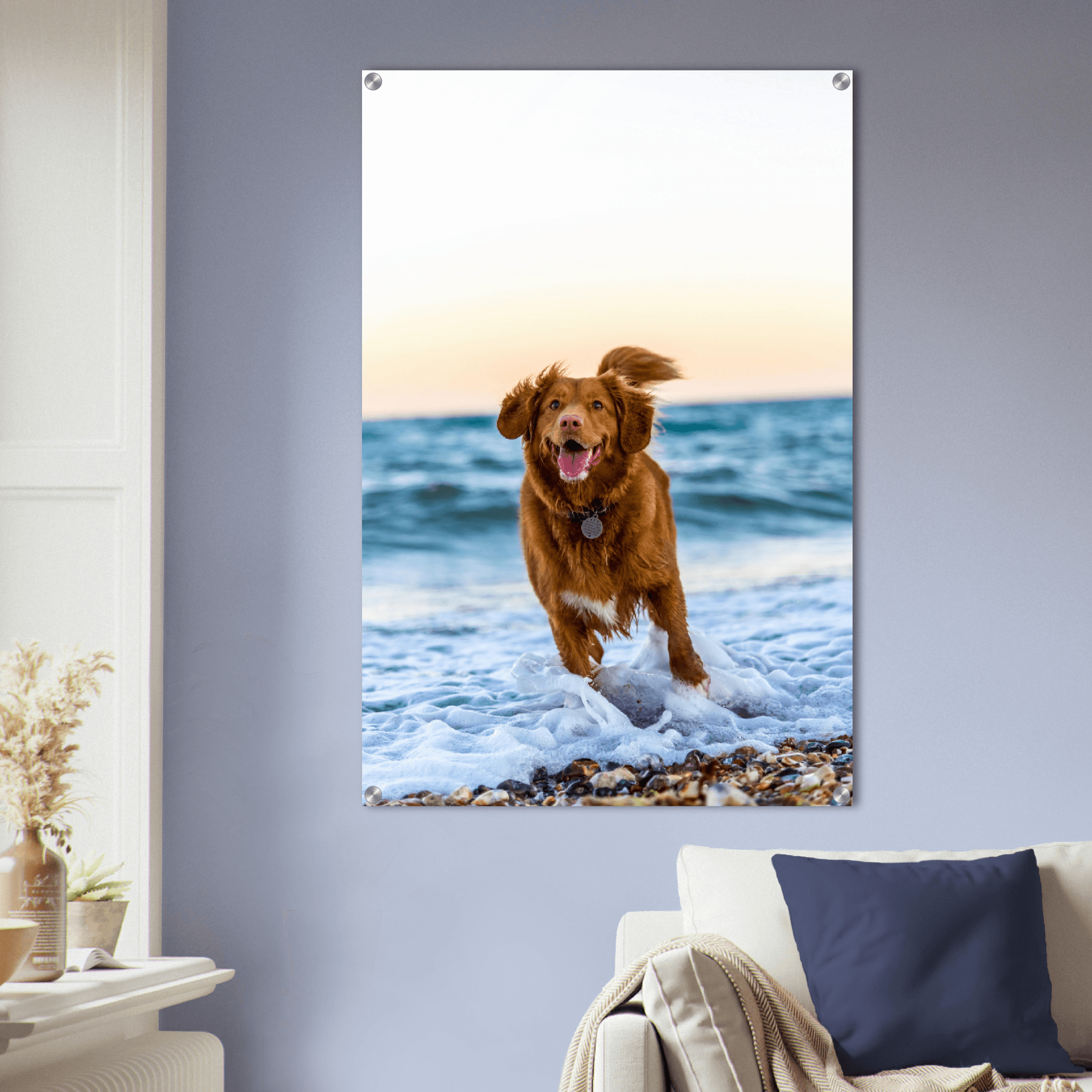 Joyful Dog: Golden Retriever at Beach Acrylic Glass Wall Art - Wallfix