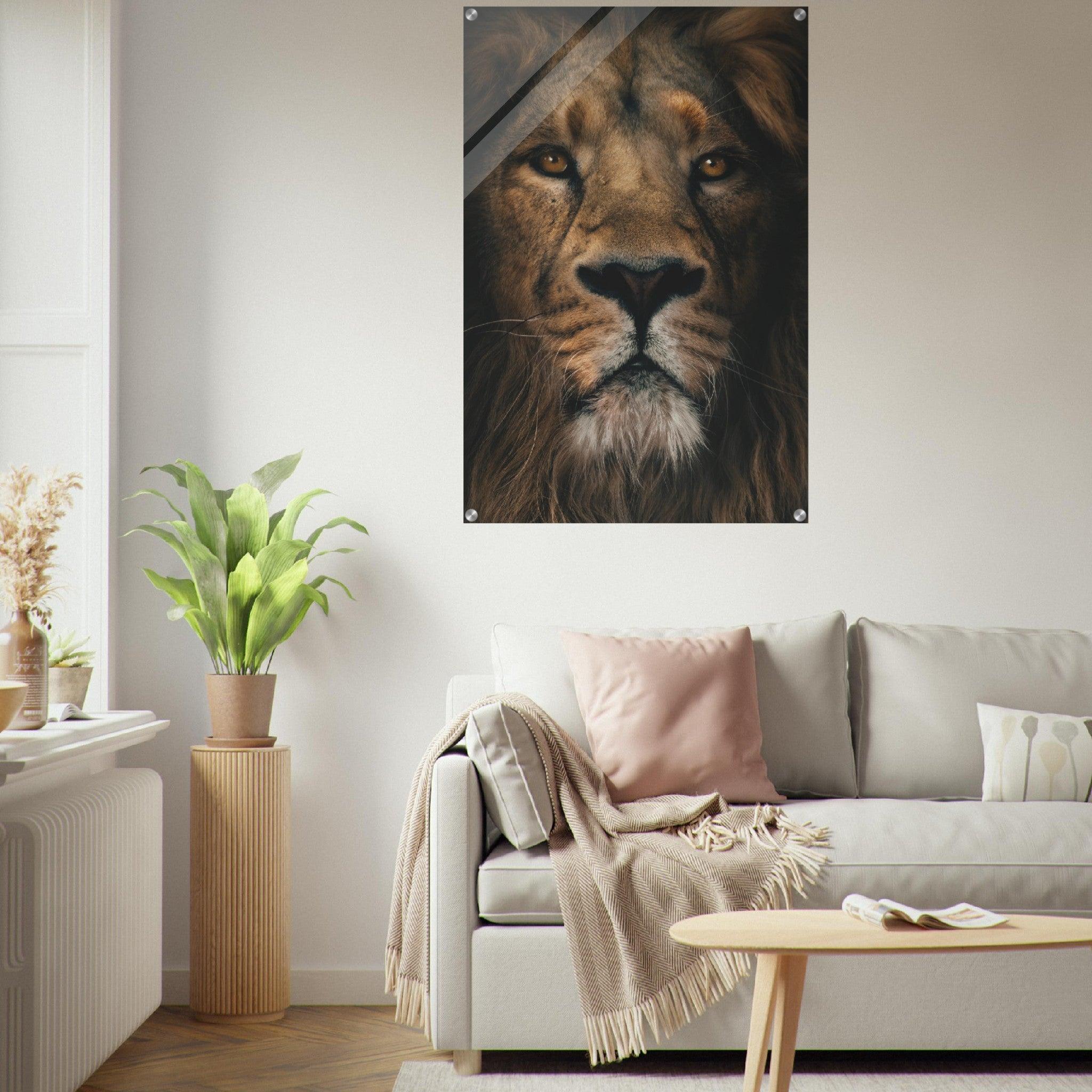 King of the Jungle: Lion Close-Up Acrylic Glass Wall Art - Wallfix