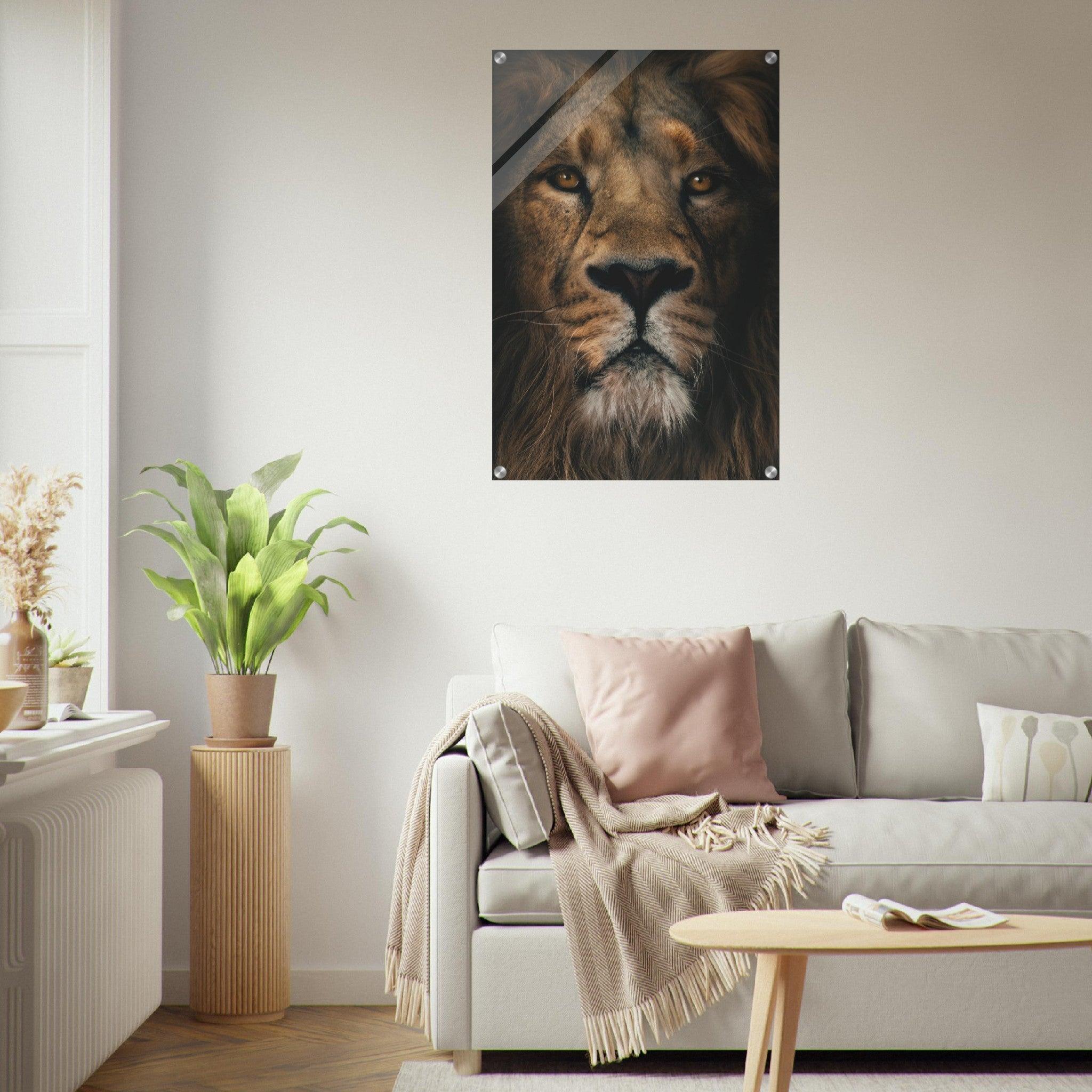 King of the Jungle: Lion Close-Up Acrylic Glass Wall Art - Wallfix