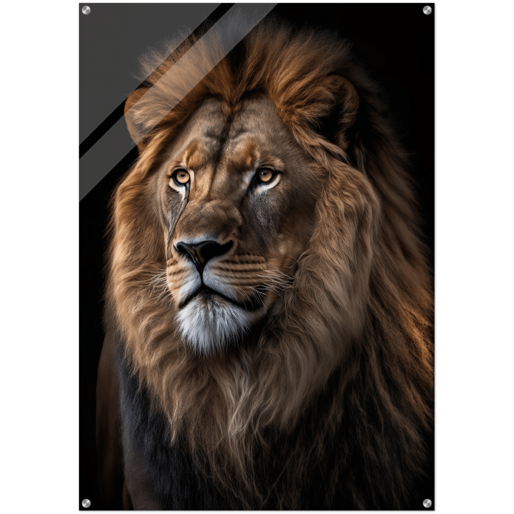 King of the Jungle: Lion Portrait Acrylic Glass Wall Art - Wallfix