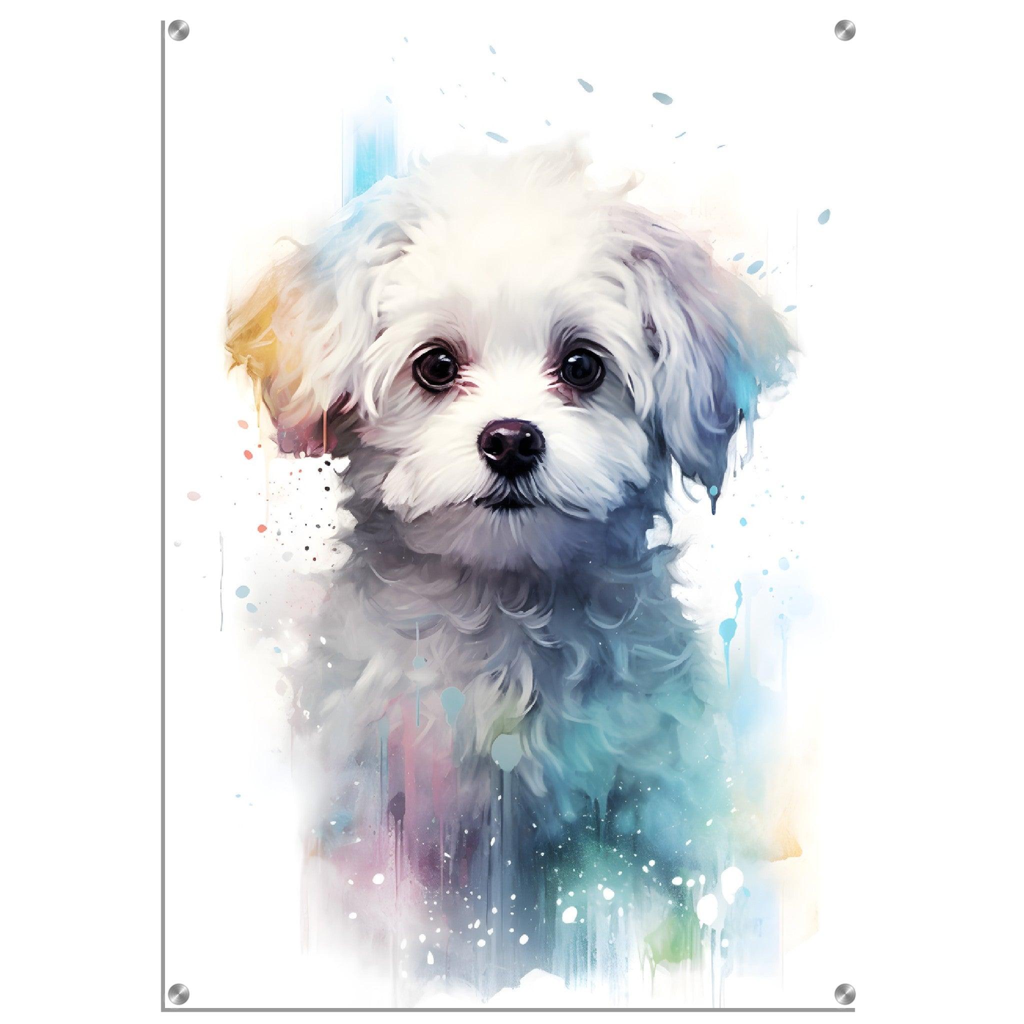 Maltipoo Portrait: Cute Dog Watercolor Acrylic Glass Wall Art - Wallfix