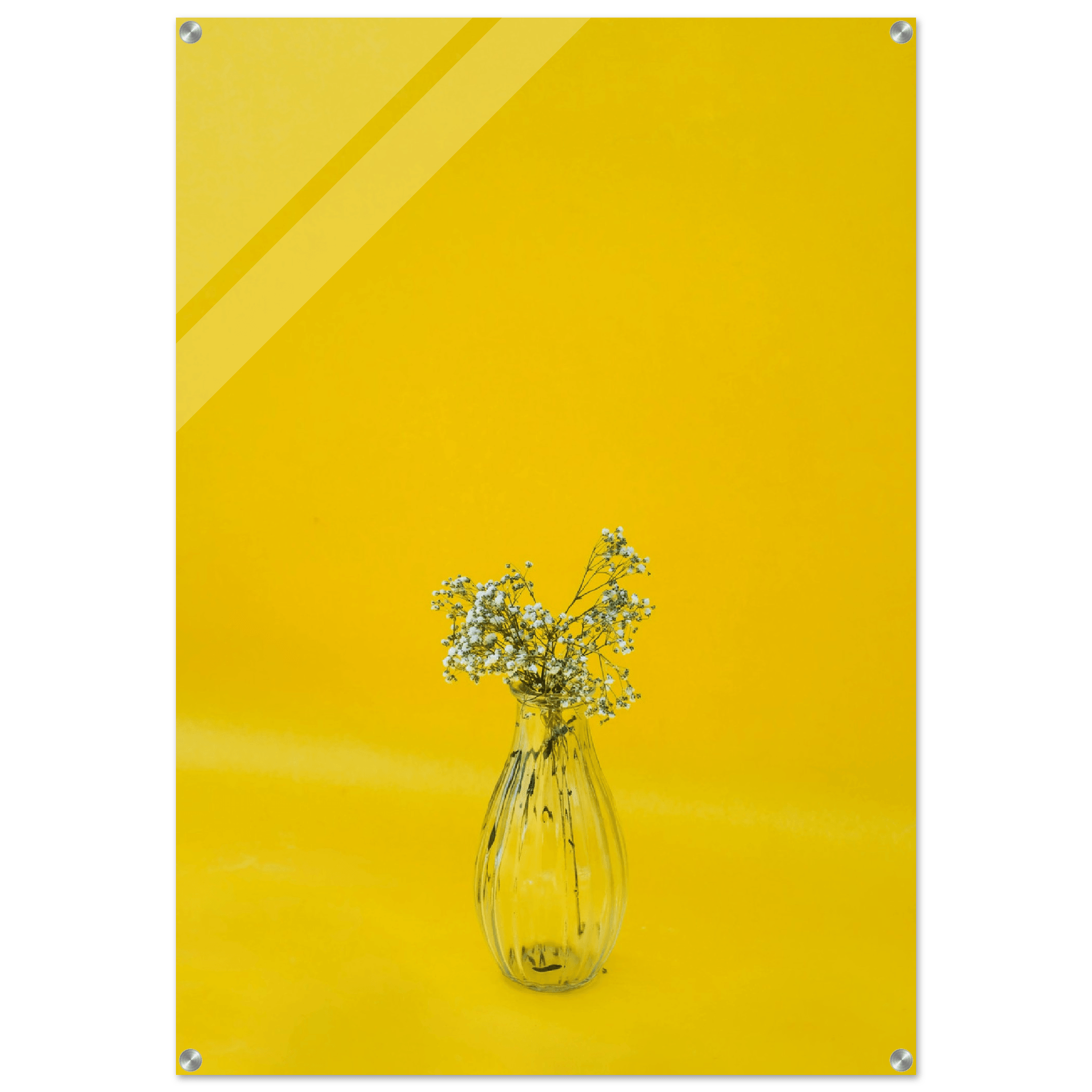 Minimalist Bliss: White Flower Acrylic Glass Wall Art - Wallfix