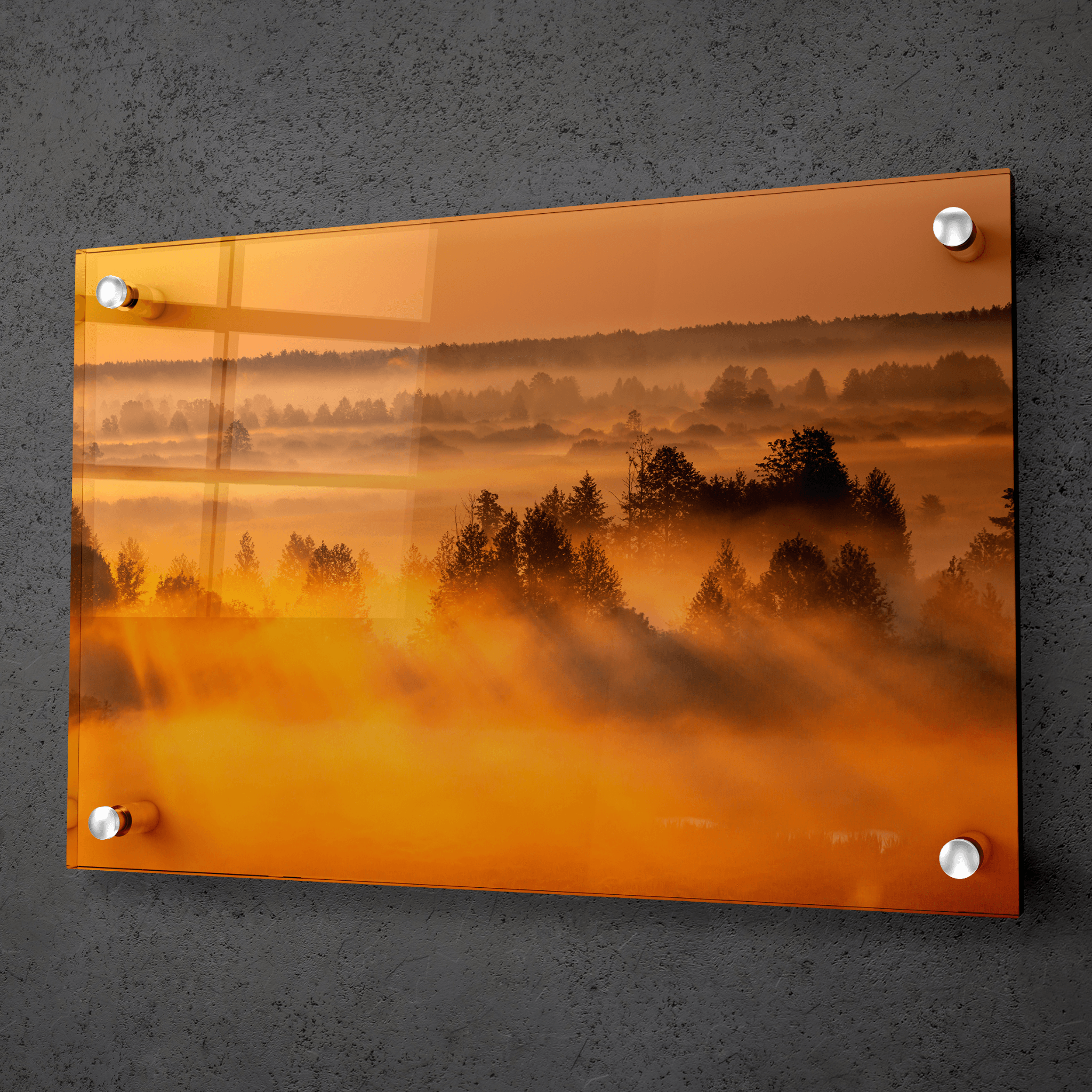 Morning Glow: Sunrise Above Misty Woods Acrylic Glass Wall Art - Wallfix