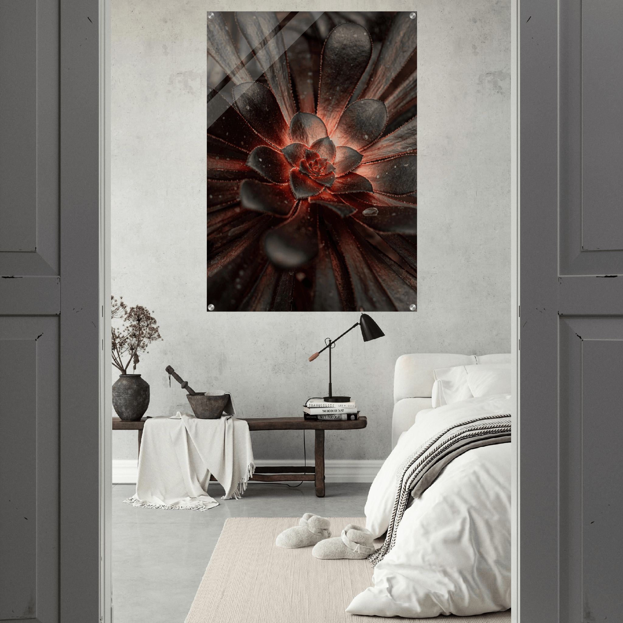Mystical Elegance: Aeonium Arboreum Acrylic Glass Wall Art - Wallfix