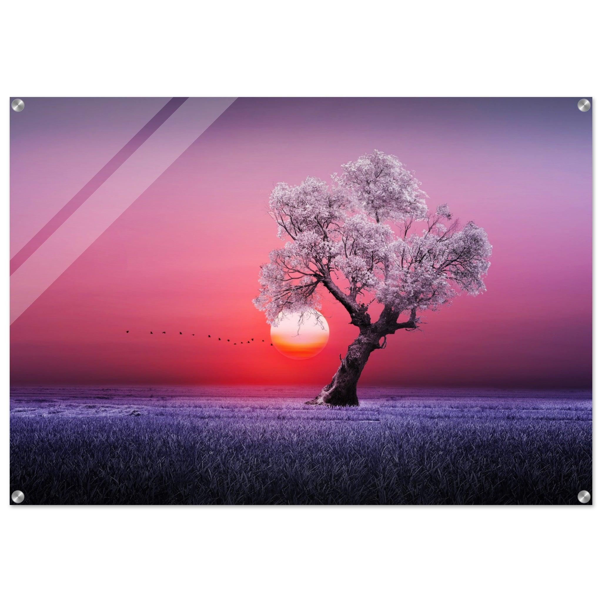 Mystical Sunset: White Tree Landscape Acrylic Glass Wall Art - Wallfix