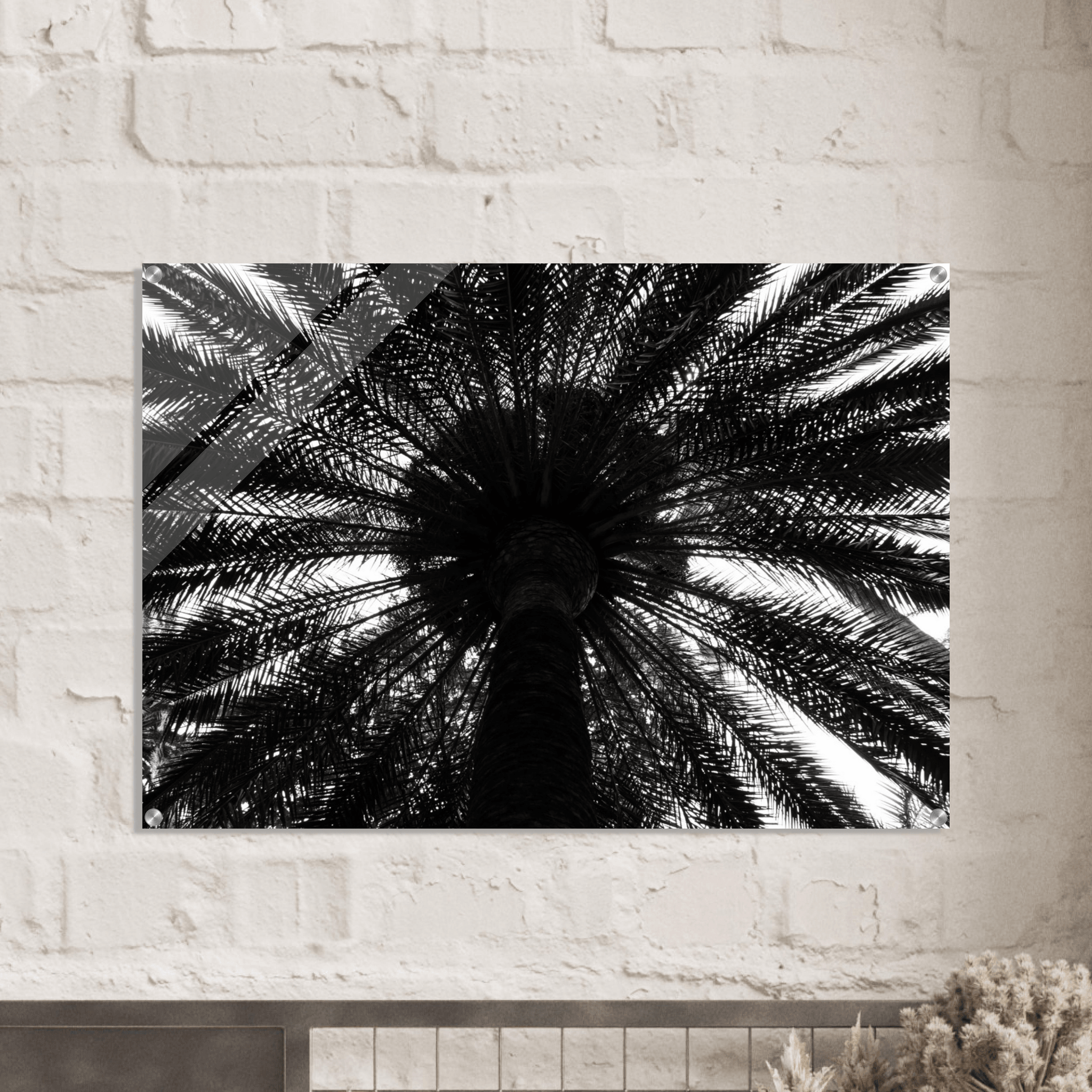 Noir Opulence: Black and White Palm Tree Acrylic Glass Wall Art - Wallfix