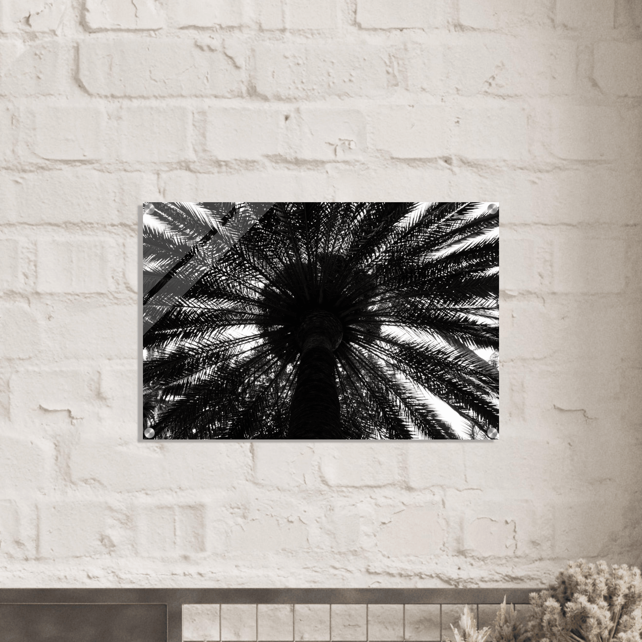 Noir Opulence: Black and White Palm Tree Acrylic Glass Wall Art - Wallfix