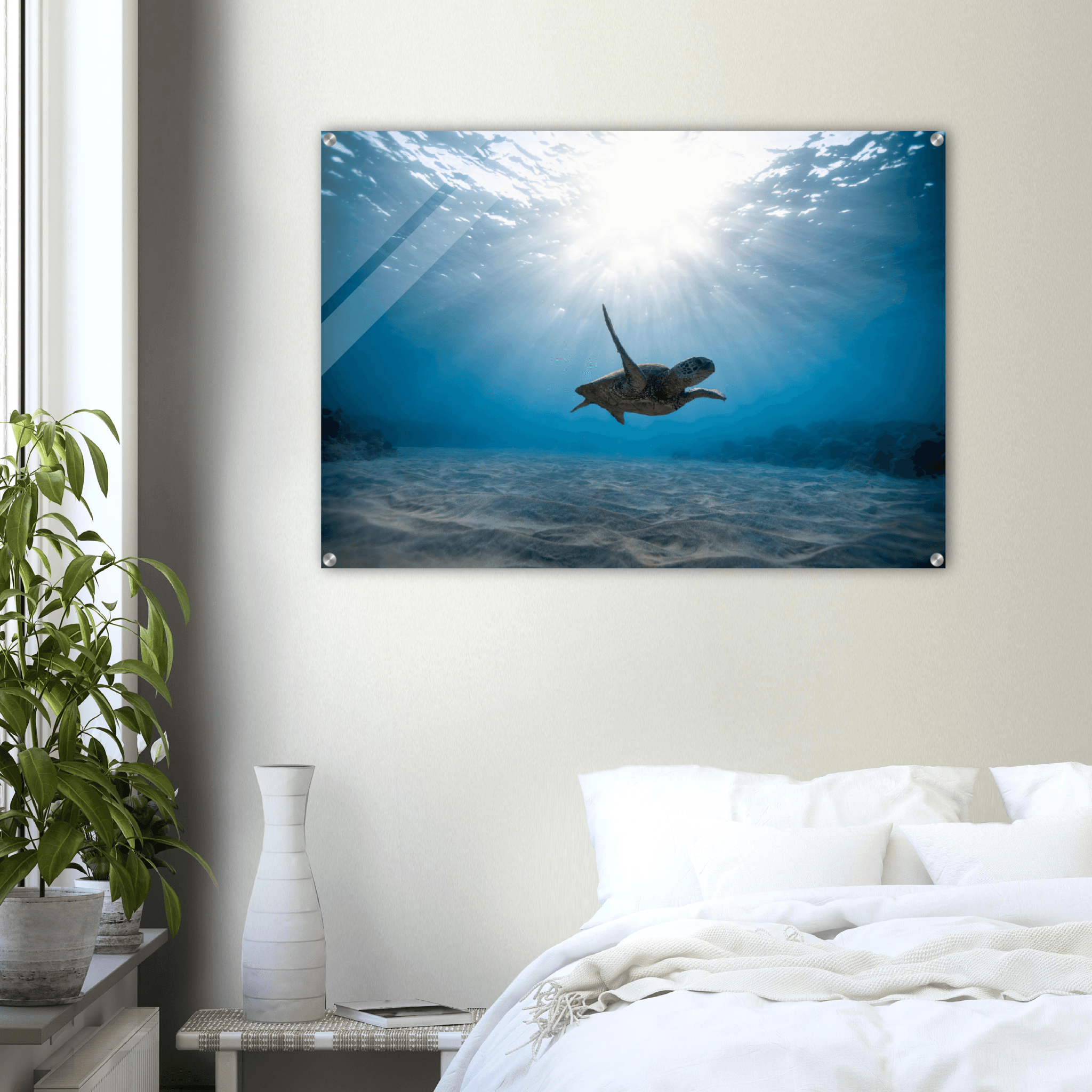 Ocean's Beauty: Majestic Sea Turtle Acrylic Glass Wall Art - Wallfix