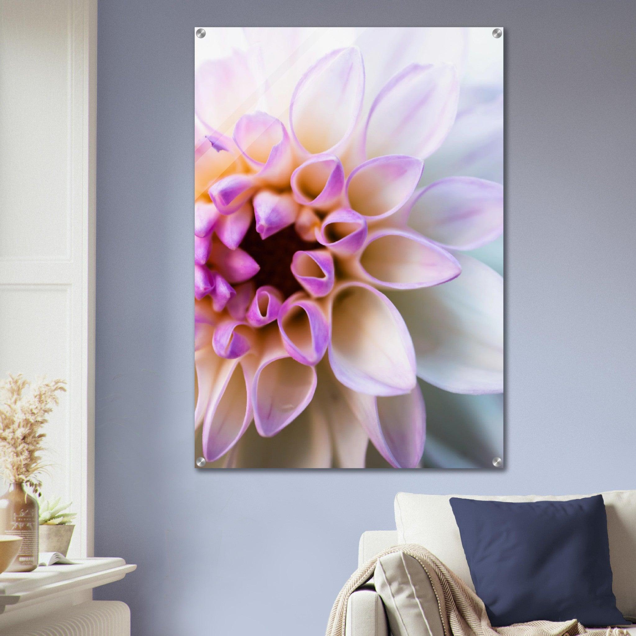 Perfect Harmony: Dahlia Flower Acrylic Glass Wall Art - Wallfix