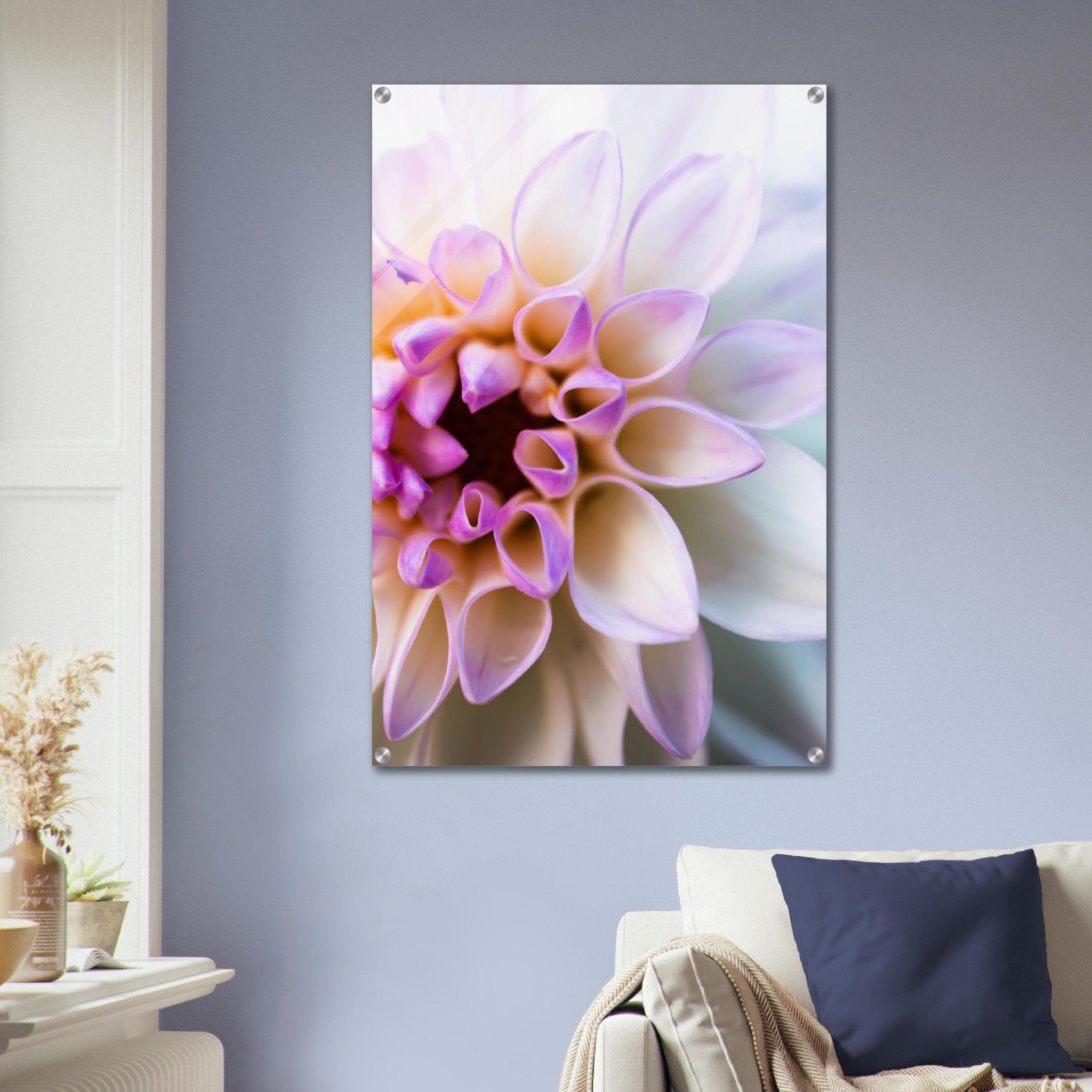 Perfect Harmony: Dahlia Flower Acrylic Glass Wall Art - Wallfix