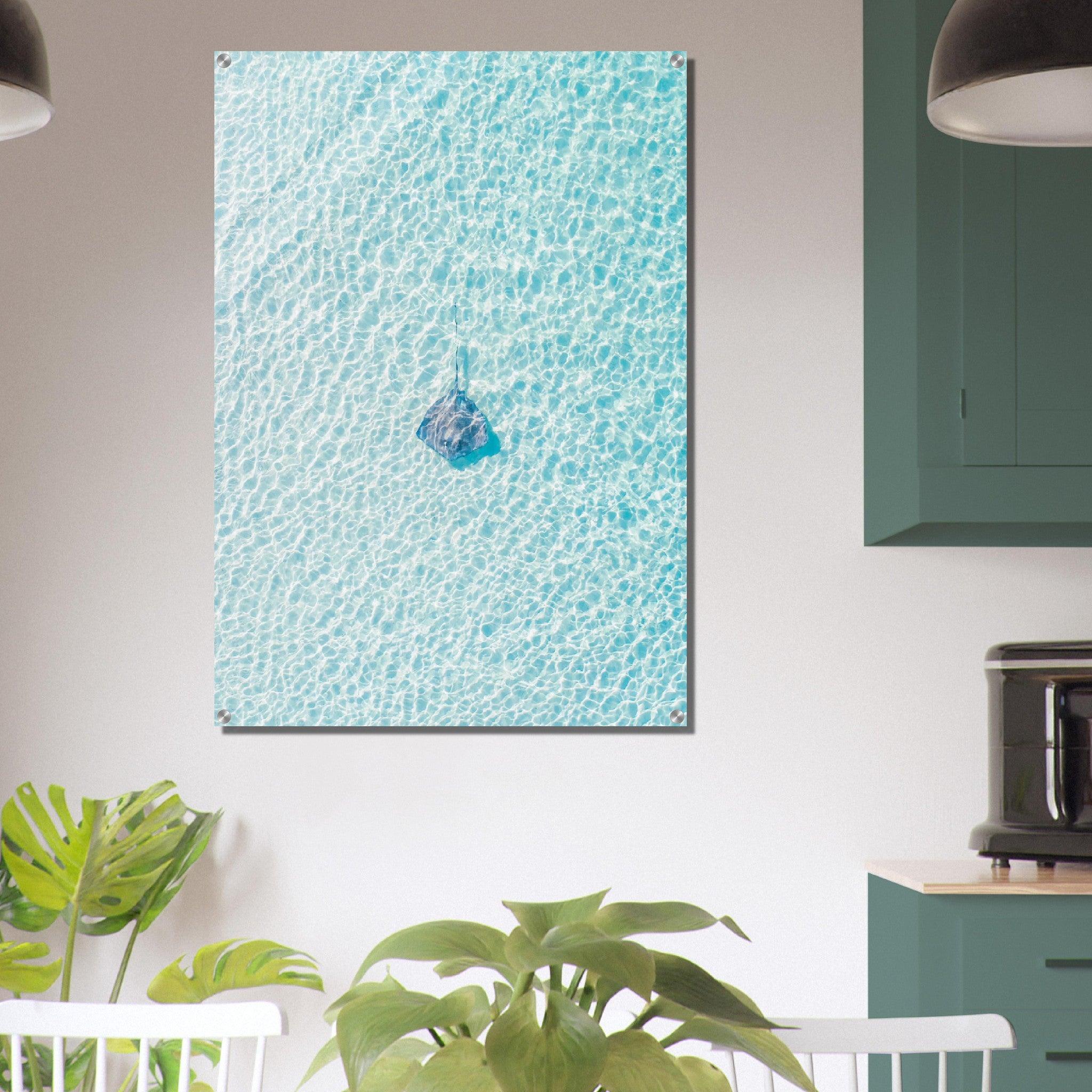 Sea Life: Captivating Stingray Acrylic Glass Wall Art - Wallfix