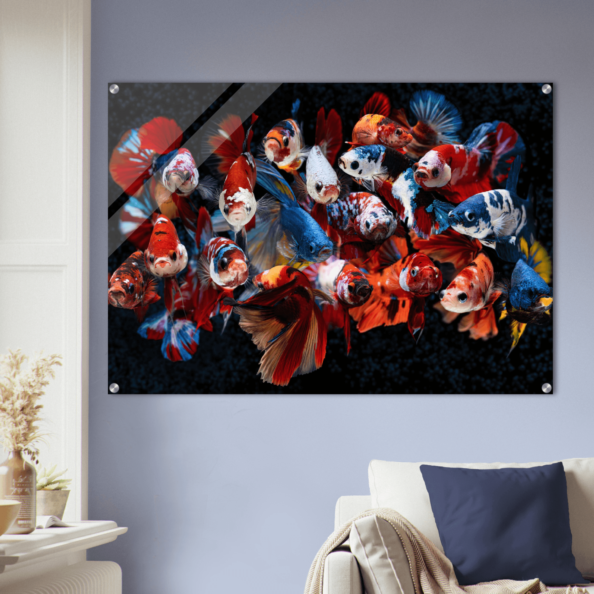 Symphony of Fins: Betta Fish Acrylic Glass Wall Art - Wallfix